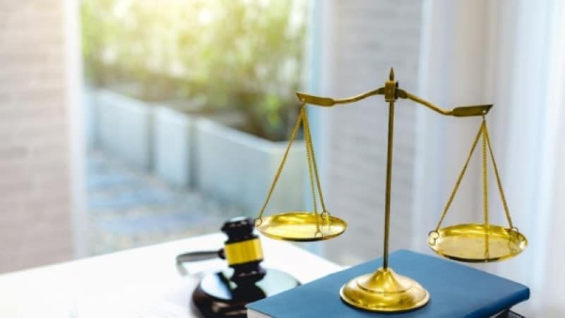 פיצויים בגין נשיכת כלב